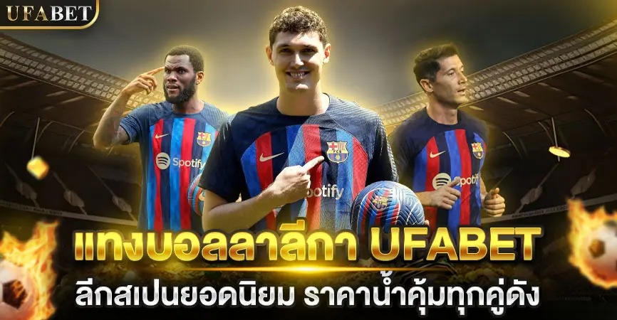 เว็บแทงบอล